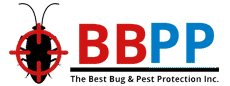 B.B.P.P